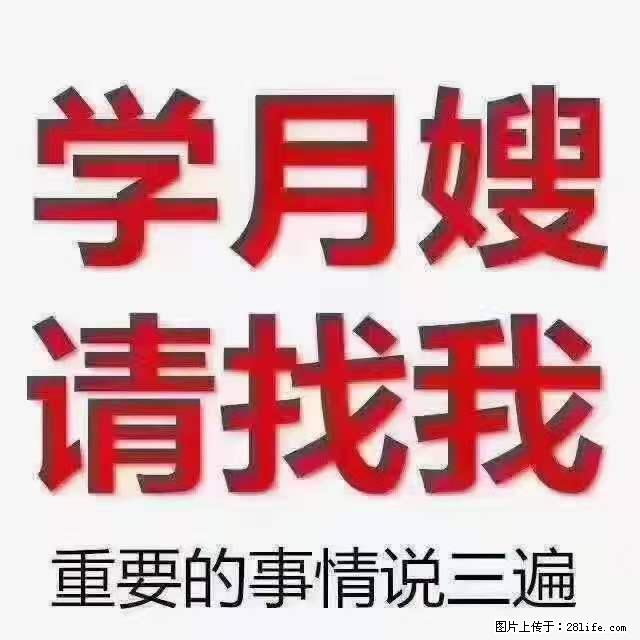 为什么要学习月嫂,育婴师? - 其他广告 - 广告专区 - 益阳分类信息 - 益阳28生活网 yiyang.28life.com
