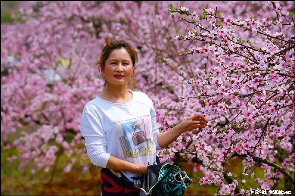 【春天,广西桂林灌阳县向您发出邀请!】官庄村有个醉美的桃花园 - 游山玩水 - 益阳生活社区 - 益阳28生活网 yiyang.28life.com