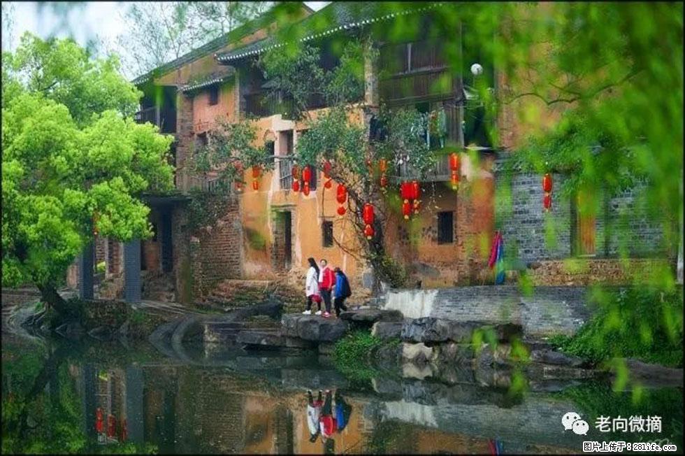【春天,广西桂林灌阳县向您发出邀请!】江口老街又逢春 - 游山玩水 - 益阳生活社区 - 益阳28生活网 yiyang.28life.com