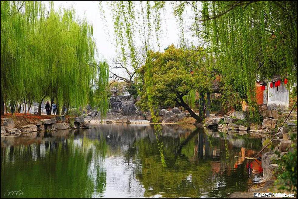 【春天,广西桂林灌阳县向您发出邀请!】江口老街又逢春 - 游山玩水 - 益阳生活社区 - 益阳28生活网 yiyang.28life.com