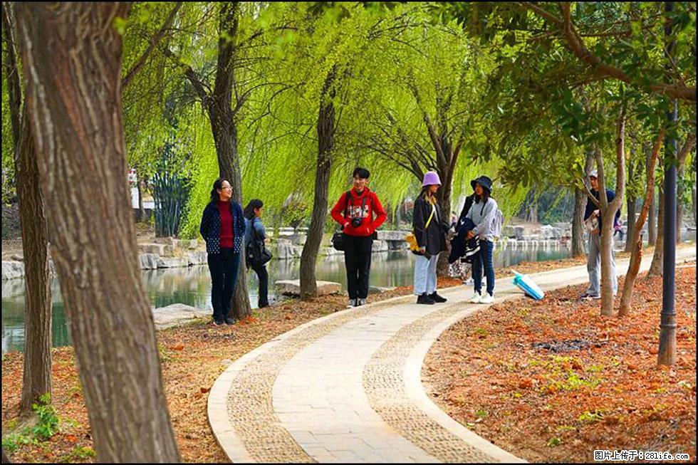 【春天,广西桂林灌阳县向您发出邀请!】江口老街又逢春 - 游山玩水 - 益阳生活社区 - 益阳28生活网 yiyang.28life.com