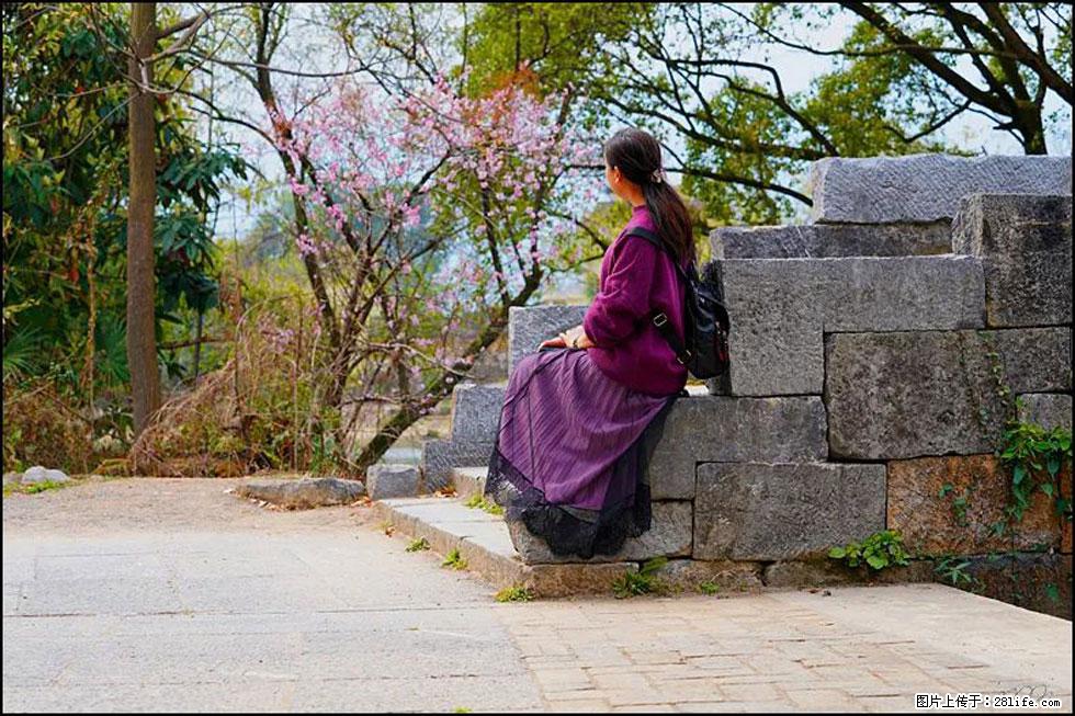 【春天,广西桂林灌阳县向您发出邀请!】江口老街又逢春 - 游山玩水 - 益阳生活社区 - 益阳28生活网 yiyang.28life.com