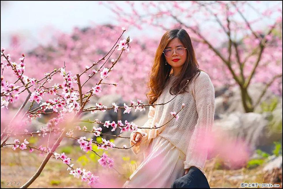 【春天，广西桂林灌阳县向您发出邀请！】望月岭上桃花开 - 游山玩水 - 益阳生活社区 - 益阳28生活网 yiyang.28life.com