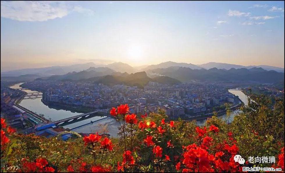 【春天,广西桂林灌阳县向您发出邀请!】登麒麟山,相约映山红 - 游山玩水 - 益阳生活社区 - 益阳28生活网 yiyang.28life.com