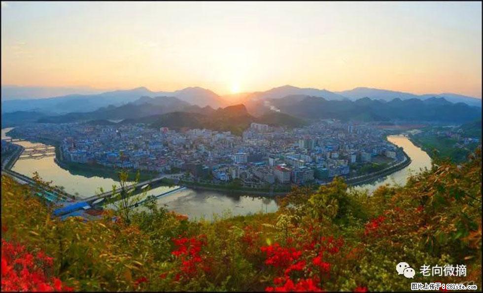 【春天,广西桂林灌阳县向您发出邀请!】登麒麟山,相约映山红 - 游山玩水 - 益阳生活社区 - 益阳28生活网 yiyang.28life.com