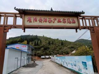 【灌阳县油茶产业示范区】一个有着充实的精神生活的人，对待身外之物自会有一种淡泊的态度 - 益阳28生活网 yiyang.28life.com