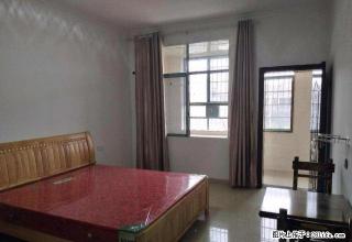 0多套带电梯精装公寓，交通方便，家电齐全，拎包入住 - 益阳28生活网 yiyang.28life.com