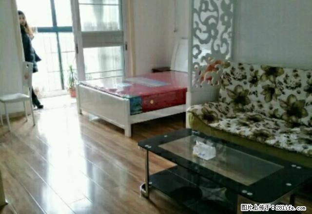 益阳大道世纪嘉苑 1室1厅 拎包入住 家电齐全 - 房屋出租 - 房屋租售 - 益阳分类信息 - 益阳28生活网 yiyang.28life.com