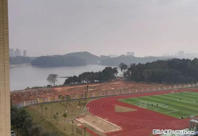 佳宁娜精装四房出租2500元每月 可拎包入住 - 房屋出租 - 房屋租售 - 益阳分类信息 - 益阳28生活网 yiyang.28life.com