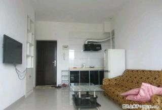 书香门邸1室1厅，家具家电齐全，拎包入住！！！ - 益阳28生活网 yiyang.28life.com