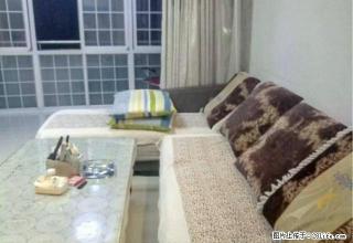 沅江桔城世家电梯房14楼，精装修，16800一年，拎包入住 - 益阳28生活网 yiyang.28life.com