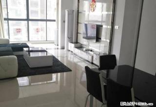 雄森国际全新精装修3房2600 - 益阳28生活网 yiyang.28life.com