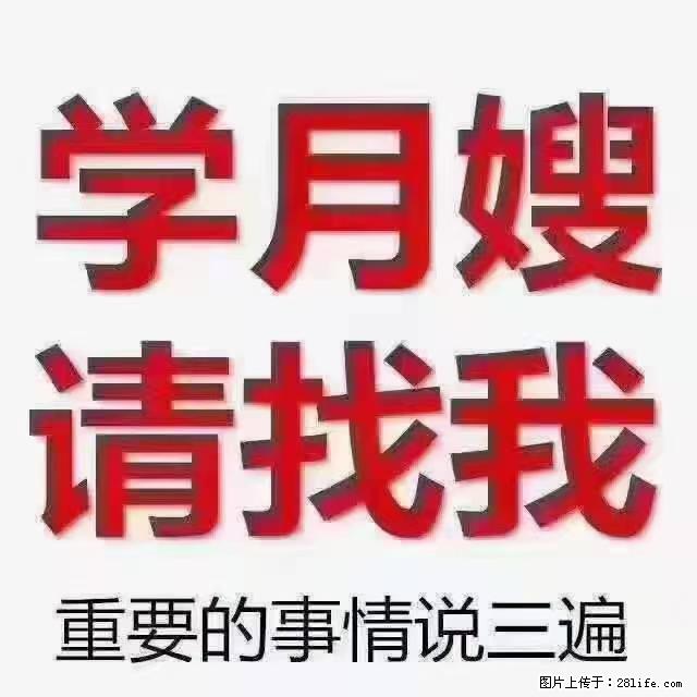 【招聘】月嫂，上海徐汇区 - 职场交流 - 益阳生活社区 - 益阳28生活网 yiyang.28life.com