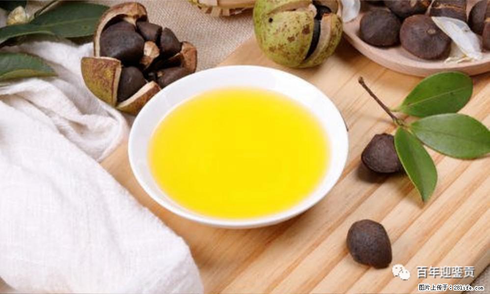 揭秘茶油的5大核心营养成分！被称为人体健康的“守护盾”！ - 益阳生活资讯 - 益阳28生活网 yiyang.28life.com