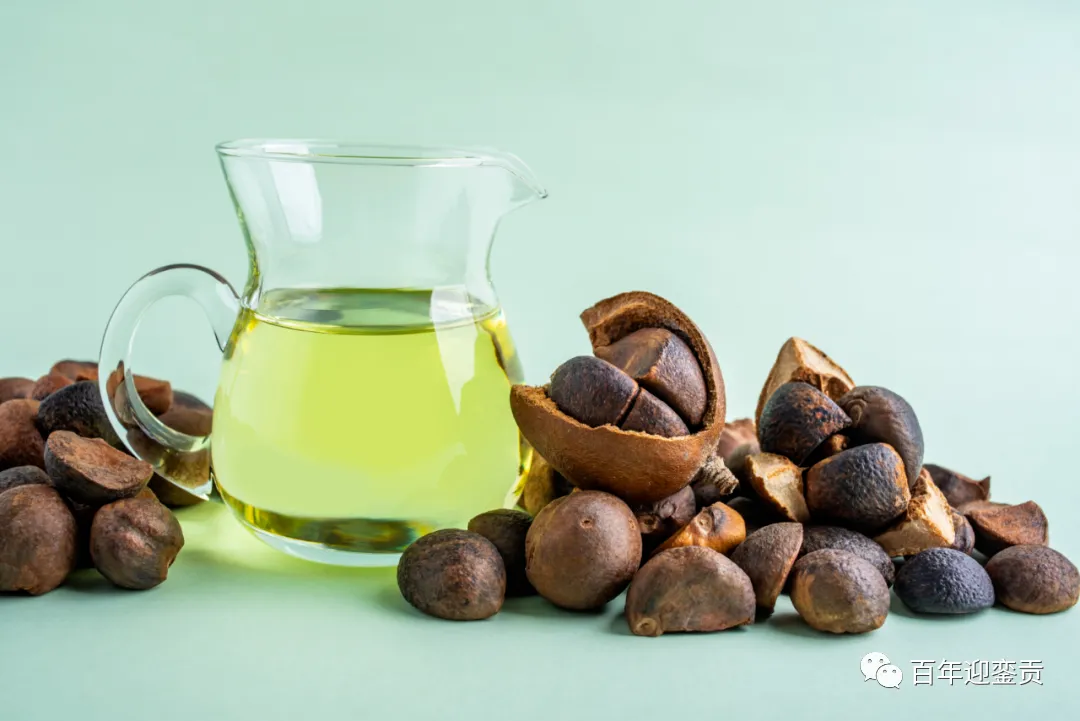 世界没有真相，只有认知，最好的食用油是中国的山茶油！ - 益阳生活资讯 - 益阳28生活网 yiyang.28life.com