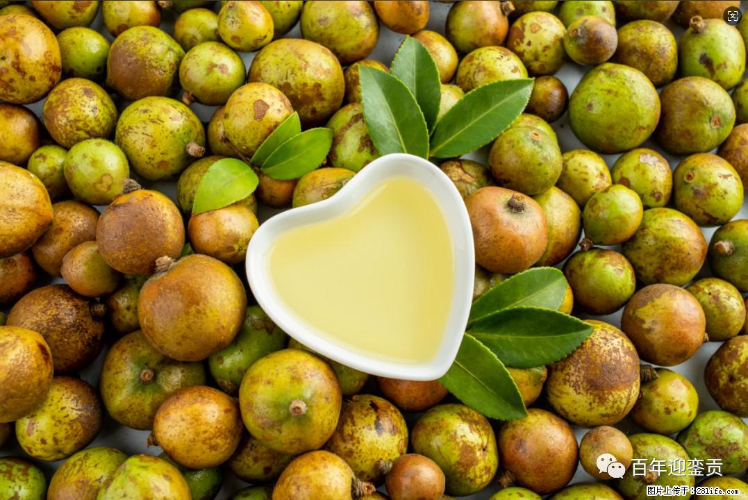 世界没有真相，只有认知，最好的食用油是中国的山茶油！ - 益阳生活资讯 - 益阳28生活网 yiyang.28life.com