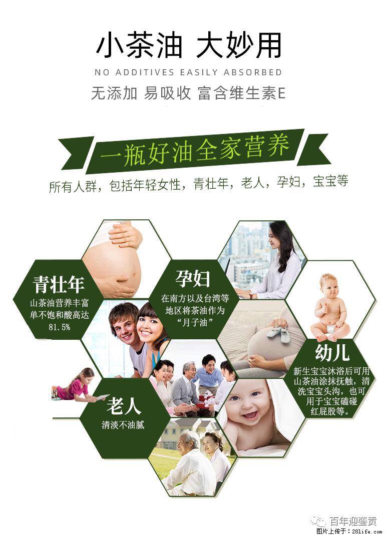 世界没有真相，只有认知，最好的食用油是中国的山茶油！ - 益阳生活资讯 - 益阳28生活网 yiyang.28life.com