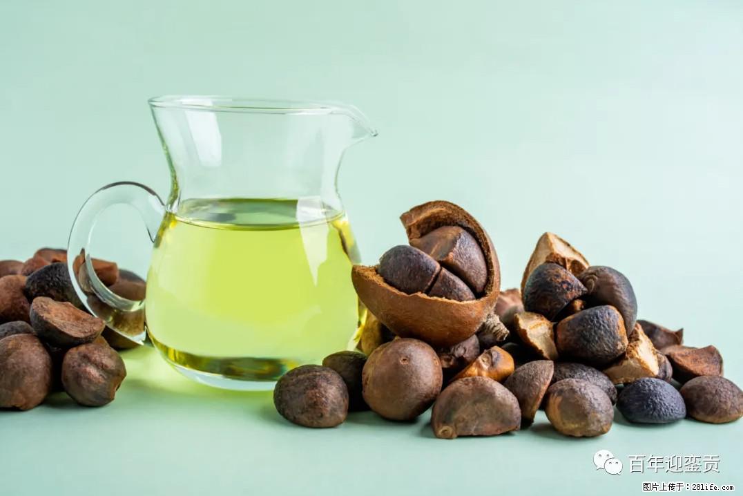世界没有真相，只有认知，最好的食用油是中国的山茶油！ - 益阳生活资讯 - 益阳28生活网 yiyang.28life.com