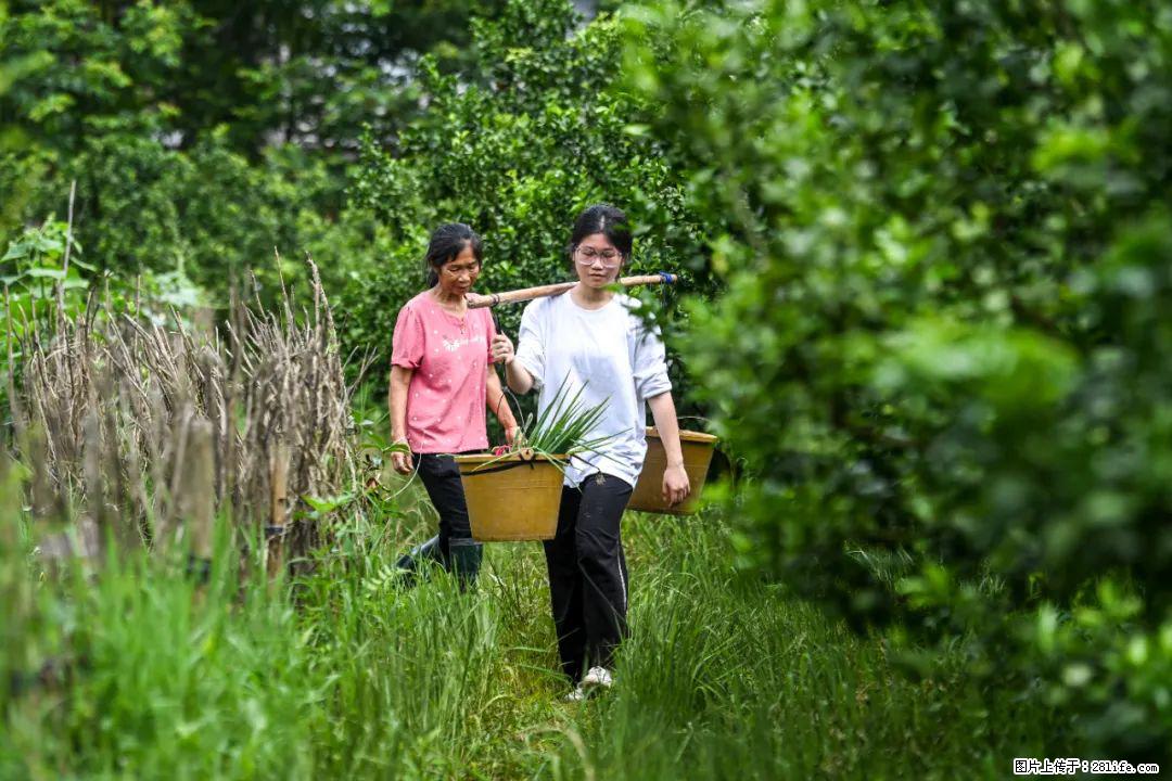 全网追的“扁担女孩”，找了一份暑假工，时薪12元 - 益阳生活资讯 - 益阳28生活网 yiyang.28life.com