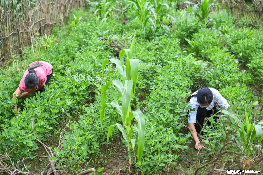 全网追的“扁担女孩”，找了一份暑假工，时薪12元 - 益阳生活资讯 - 益阳28生活网 yiyang.28life.com
