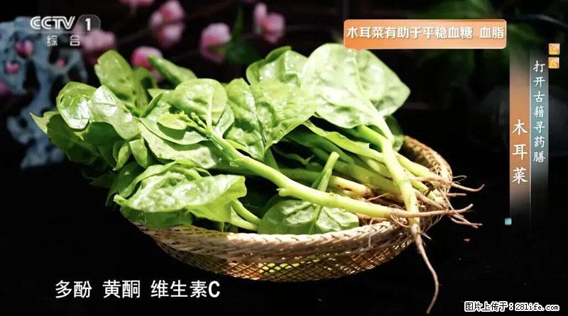 比牛奶补钙还厉害！凉血解毒、稳血糖...这菜冬天必吃，很多人却当草 - 益阳生活资讯 - 益阳28生活网 yiyang.28life.com
