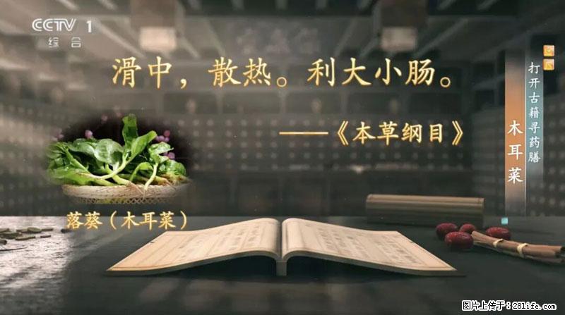 比牛奶补钙还厉害！凉血解毒、稳血糖...这菜冬天必吃，很多人却当草 - 益阳生活资讯 - 益阳28生活网 yiyang.28life.com