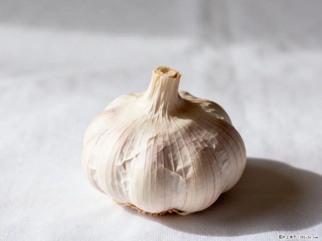 关于大蒜，除了“天然抗生素”，这4个谣言更该警惕! - 益阳生活资讯 - 益阳28生活网 yiyang.28life.com