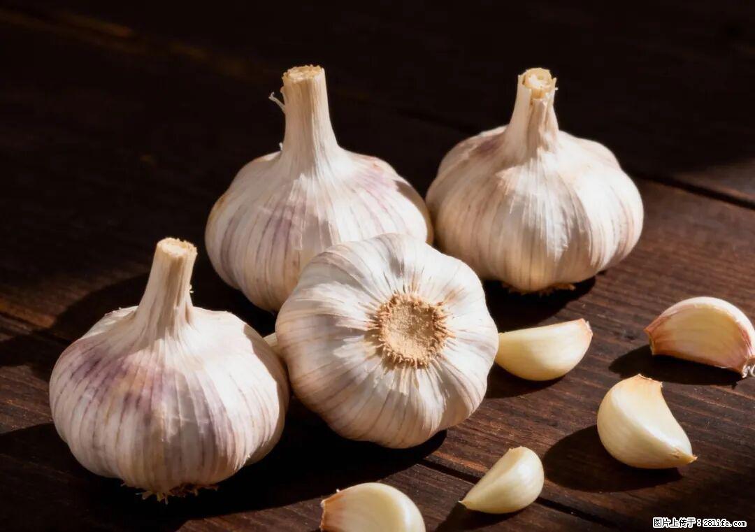 关于大蒜，除了“天然抗生素”，这4个谣言更该警惕! - 益阳生活资讯 - 益阳28生活网 yiyang.28life.com