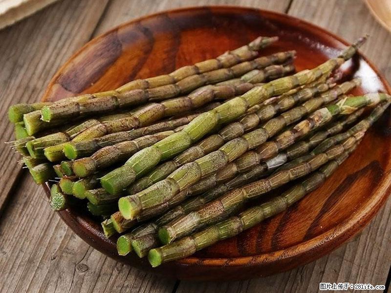 铁皮石斛的作用与功能主治 - 益阳生活资讯 - 益阳28生活网 yiyang.28life.com